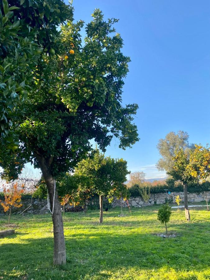 Quinta De Areias Bed & Breakfast Crespos Eksteriør bilde