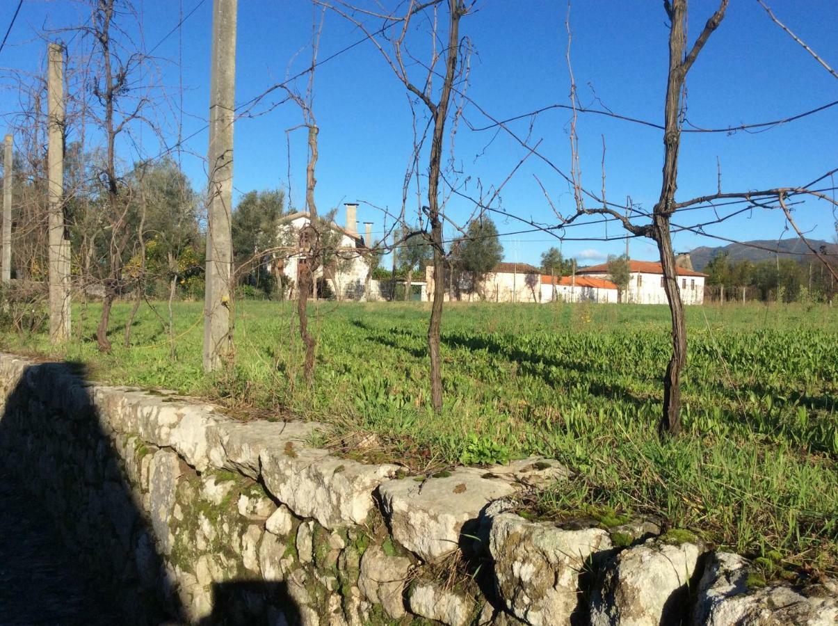 Quinta De Areias Bed & Breakfast Crespos Eksteriør bilde