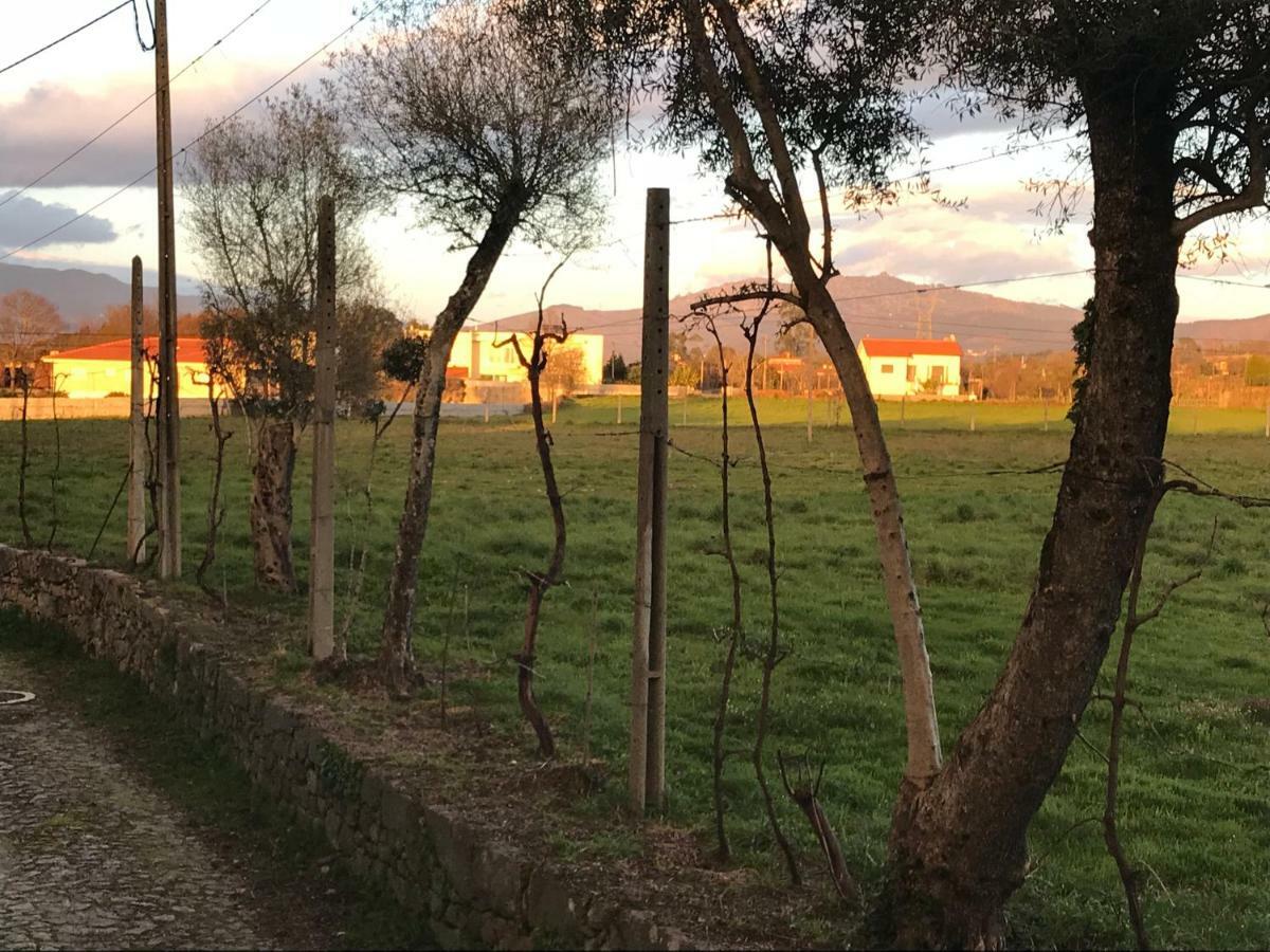 Quinta De Areias Bed & Breakfast Crespos Eksteriør bilde